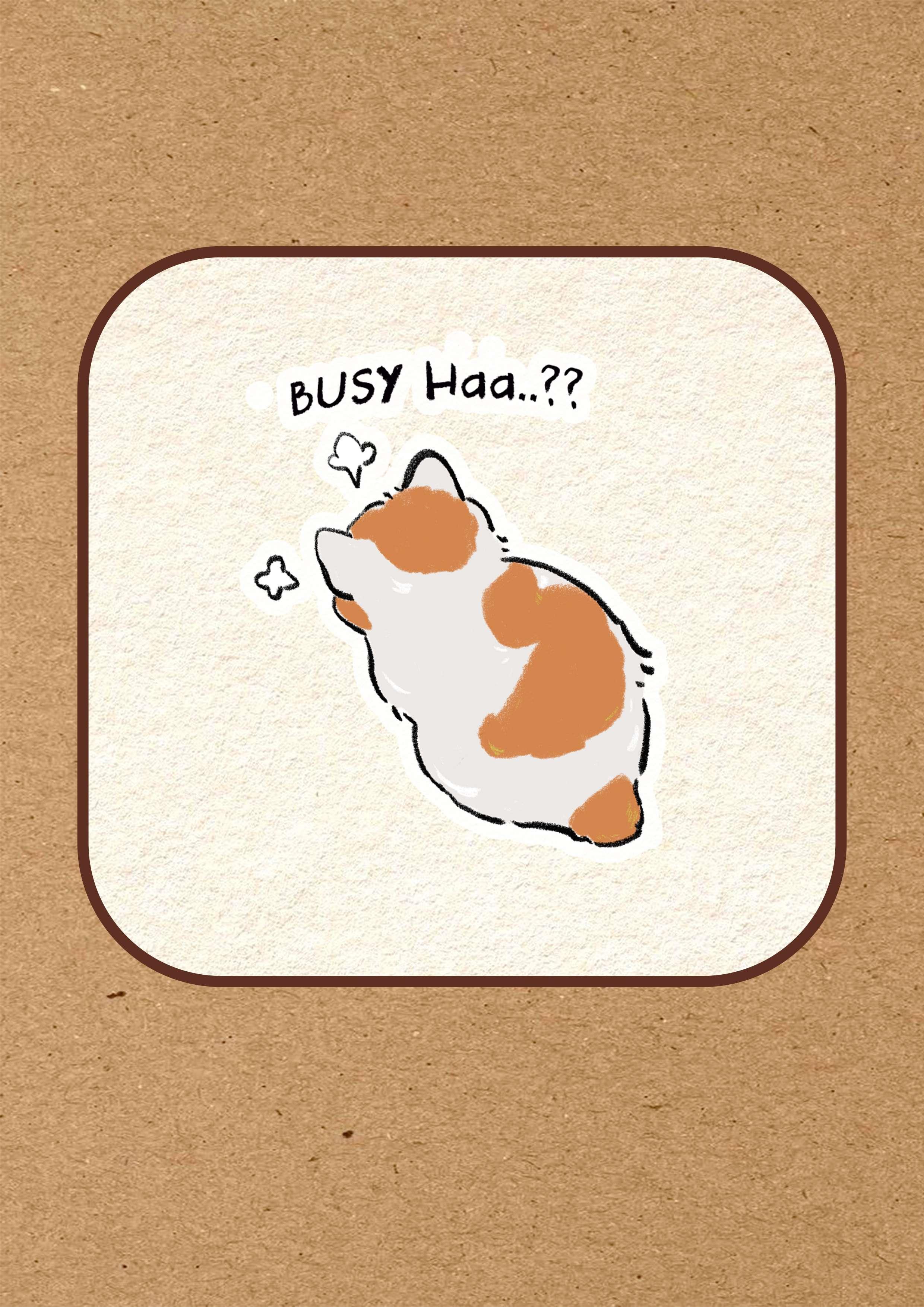 TALK TO THE TAIL - Image 1
